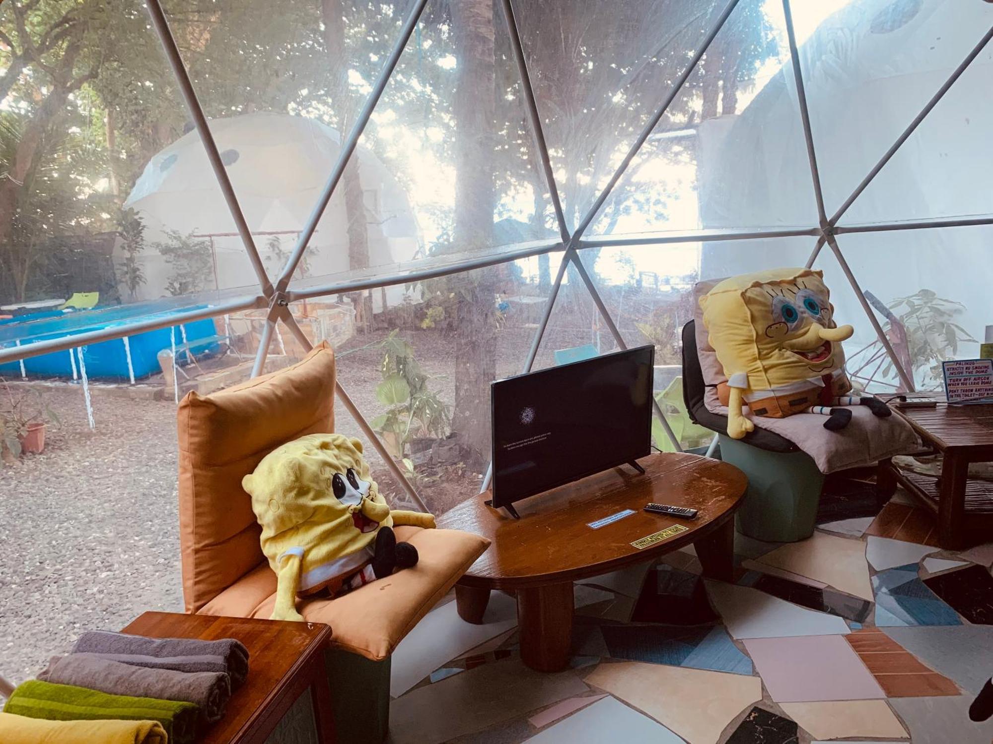 Glamping Dome Dauin Beach Resort Exteriér fotografie